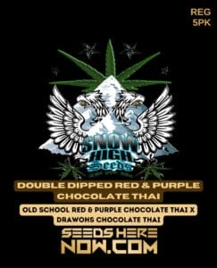 Double Dipped Red & Purple Chocolate Thai (Regular) (space) Snow High Seeds