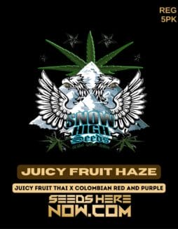Snow High Seeds - Juicy Fruit Haze {REG} [5pk]Snow High Seeds - Juicy Fruit Haze {REG} [5pk]
