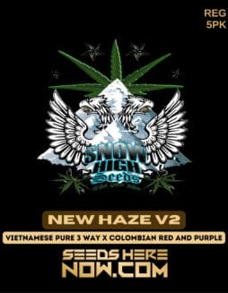 Snow High Seeds - New Haze v2 {REG} [5pk]Snow High Seeds - New Haze v2 REG 5pk