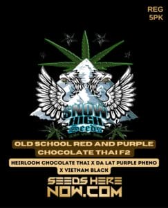 Old School Red and Purple Chocolate Thai F2 (Regular) (space) Snow High Seeds
