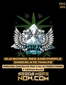 Snow High Seeds - Old School Red and Purple Chocolate Thai F2 {REG} [5pk]Snow High Seeds - Old School Red and Purple Chocolate Thai F2 REG 5pk