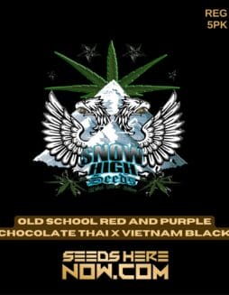 Snow High Seeds - Old School Red and Purple Chocolate Thai x Vietnam Black {REG} [5pk]Snow High Seeds - Old School Red and Purple Chocolate Thai X Vietnam Black {reg} [5pk]
