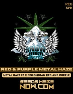 Snow High Seeds - Red & Purple Metal Haze {REG} [5pk]Snow High Seeds - Red & Purple Metal Haze {REG} [5pk]