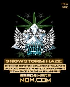 Snowstorm Haze (Regular) (space) Snow High Seeds
