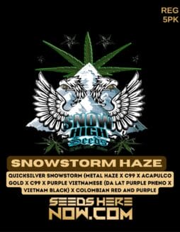 Snow High Seeds - Snowstorm Haze {REG} [5pk]Snow High Seeds - Snowstorm Haze {REG} [5pk]