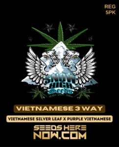 Vietnamese 3 Way (regular) - Snow High Seeds