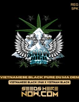 Snow High Seeds - Vietnamese Black Pure Du Ma Den {REG} [5pk]Snow High Seeds - Vietnamese Black Pure Du Ma Den {reg} [5pk]