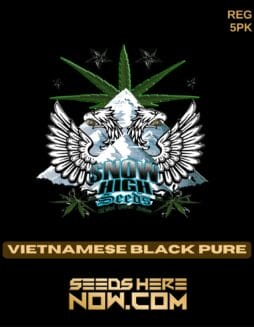 Snow High Seeds - Vietnamese Black Pure {REG} [5pk]Snow High Seeds - Vietnamese Black Pure {reg} [5pk]