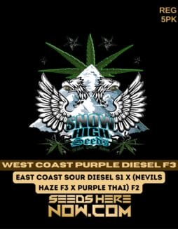 Snow High Seeds - West Coast Purple Diesel F3 {REG} [5pk]Snow High Seeds - West Coast Purple Diesel F3 {reg} [5pk]
