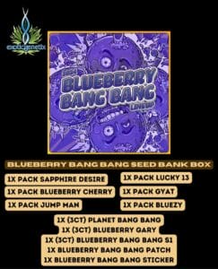 Blueberry Bang Bang Seed Bank Box (Feminized) - Exotic Genetix
