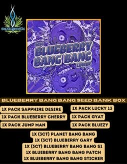 Exotic Genetix - Blueberry Bang Bang Seed Bank Box {FEM} [6pk] *PRESALE*Exotic Genetix - Blueberry Bang Bang Seed Bank Box