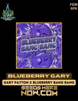 Exotic Genetix - Blueberry Gary {FEM} [6pk]Exotic Genetix - Blueberry Gary {FEM} [6pk]