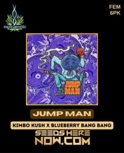 Jump Man (feminized) - Exotic Genetix