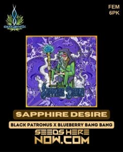 Sapphire Desire (feminized) - Exotic Genetix