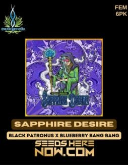 Exotic Genetix - Sapphire Desire {FEM} [6pk]Exotic Genetix - Sapphire Desire {FEM} [6pk]