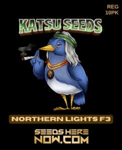 Northern Lights F3(Regular) - Katsu Seeds