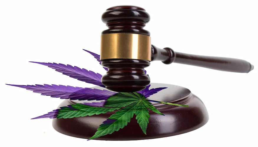 Cannabis Laws