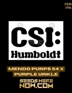 CSI Humboldt - Mendo Purps 54 x Purple Urkle {FEM} [7pk]CSI Humboldt - Mendo Purps 54 x Purple Urkle {FEM} [7pk]