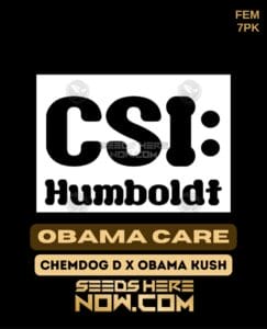 Obama Care (feminized) - Csi Humboldt