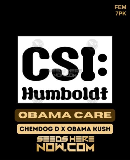 Obama Care (Feminized) (space) CSI Humboldt