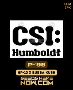 P-98 (feminized) - Csi Humboldt
