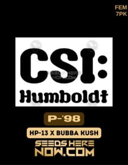 CSI Humboldt - P-'98 {FEM} [7pk]CSI Humboldt - P-'98 {FEM} [7pk]