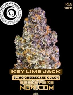 Key Lime Jack (Regular) - Happy Dreams GeneticsKey Lime Jack (Regular) - Happy Dreams Genetics