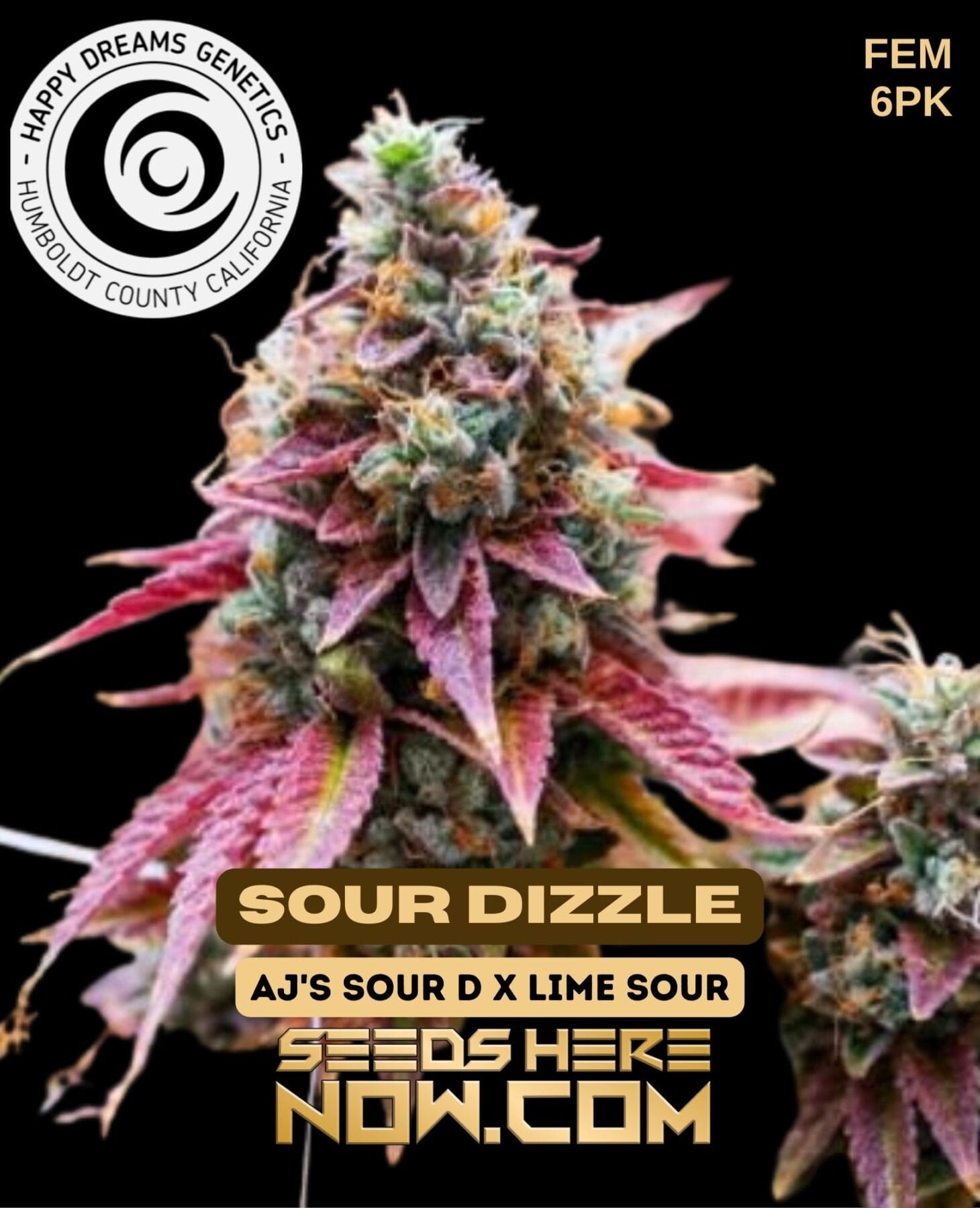 Happy Dreams Genetics Sour Dizzle Seeds {FEM} 6pk - 18-22% THC