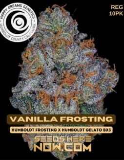 Happy Dreams Genetics - Vanilla Frosting {REG} [10pk]Happy Dreams Genetics - Vanilla Frosting {REG} [10pk]