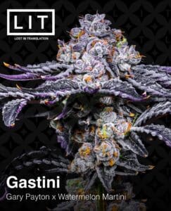 Gastini (feminized) - Lit Farms