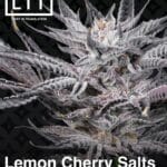 Lemon Cherry Salts (Feminized) - LIT Farms