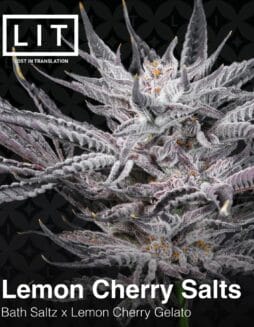 LIT Farms - Lemon Cherry Salts {FEM} *PREORDER*LIT Farms - Lemon Cherry Salts {FEM}