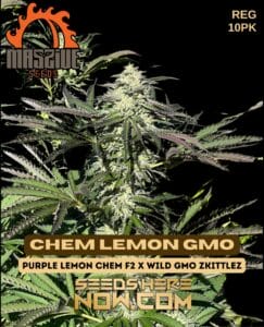Chem Lemon Gmo (regular) - Massive Seeds