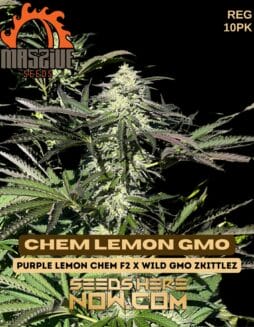 Massive Seeds - Chem Lemon GMO {REG} [10pk]Massive Seeds - Chem Lemon GMO {REG} [10pk]