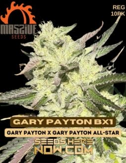 Massive Seeds - Gary Payton BX1 {REG} [10pk]Massive Seeds - Gary Payton BX1 {REG} [10pk]