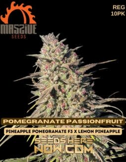 Massive Seeds - Pomegranate Passionfruit {REG} [10pk]Massive Seeds - Pomegranate Passionfruit {REG} [10pk]