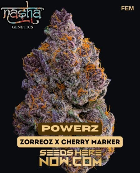 Nasha Genetics - Powerz {fem}