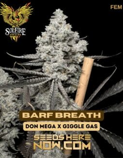 Solfire Gardens - Barf Breath {FEM}Solfire Gardens - Barf Breath {FEM}