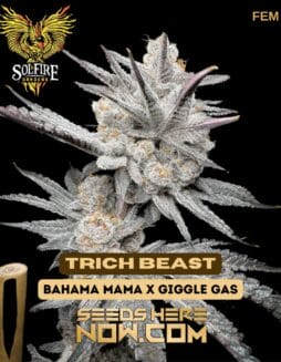 Solfire Gardens - Trich Beast {FEM}Solfire Gardens - Trich Beast {fem}