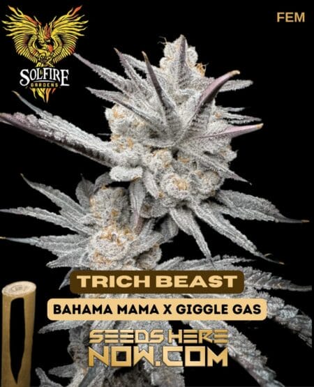 Solfire Gardens - Trich Beast {fem}