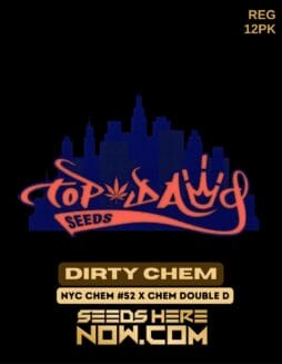 Top Dawg Seeds - Dirty Chem {REG} [12pk]Top Dawg Seeds - Dirty Chem {REG} [12pk]