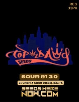 Top Dawg Seeds - Sour 91 3.0 {REG} [12pk]