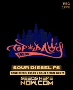 Sour Diesel F6 (regular) - Top Dawg Seeds