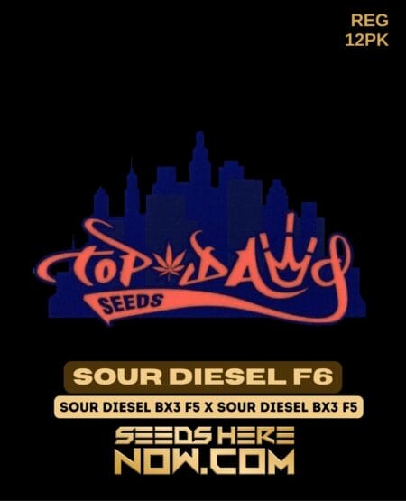 Sour Diesel F6 (Regular) (space) Top Dawg Seeds