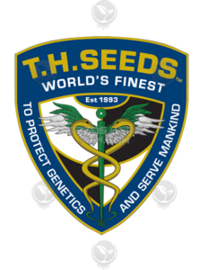 T.H. Seeds - Pure Runtzy Drop