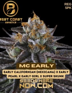 MC Early (Regular) - Best Coast GeneticsMC Early (Regular) - Best Coast Genetics