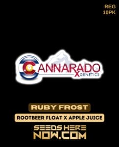 Ruby Frost (regular) - Cannarado Genetics