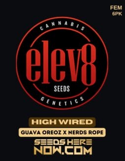 Elev8 Seeds - High Wired {FEM} [6pk]Elev8 Seeds - High Wired {fem} [6pk]