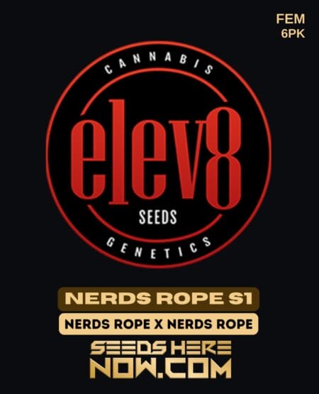 Elev8 Seeds - Nerds Rope S1 {fem} [6pk]