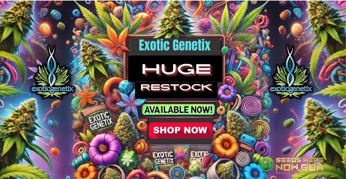 Exotic Genetix restock